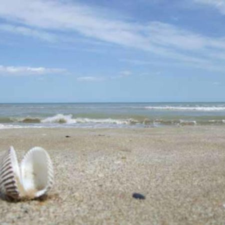 Hr Vapore Gatteo Mare Gatteo a Mare Bagian luar foto
